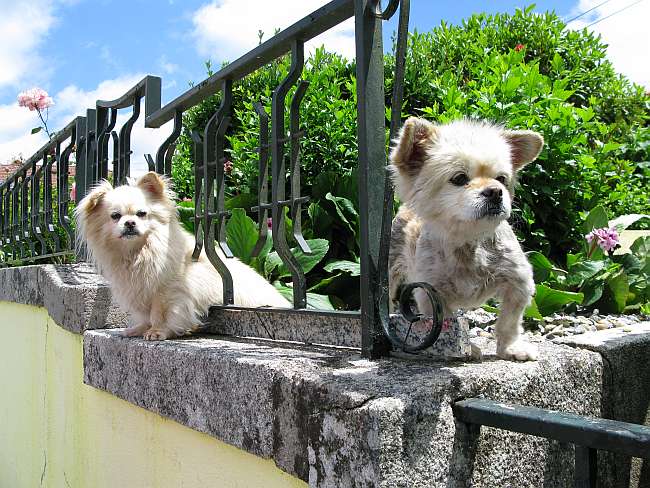 Rubiães to Valença